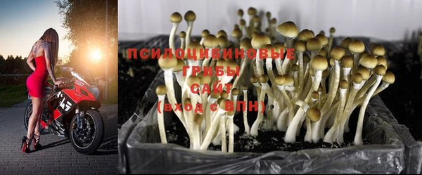 марки lsd Балабаново