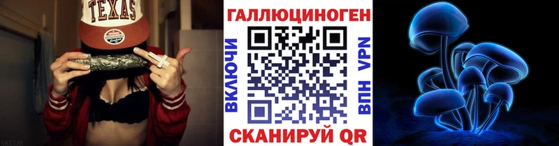 Псилоцибиновые грибы GOLDEN TEACHER  наркотики  Городовиковск 